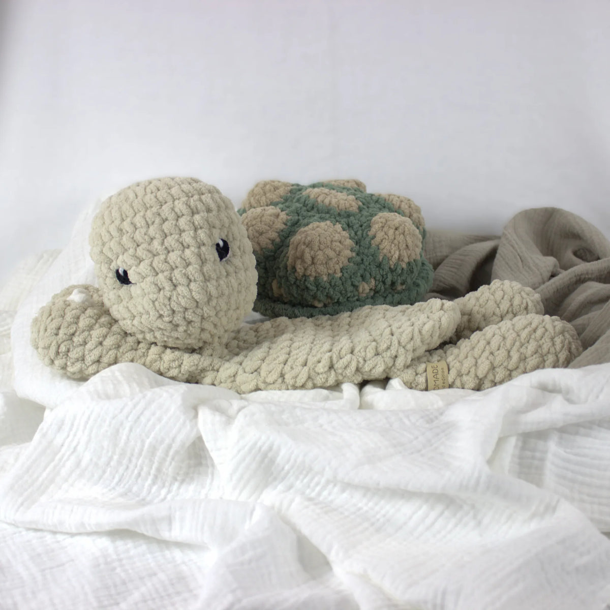 Terry Turtle
