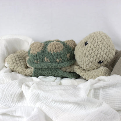 Terry Turtle