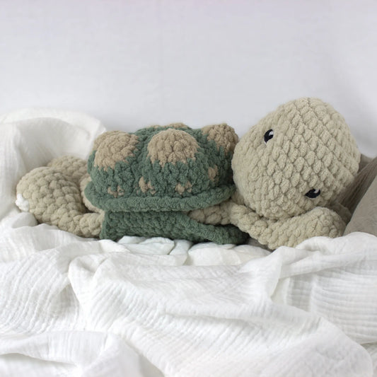 Terry Turtle