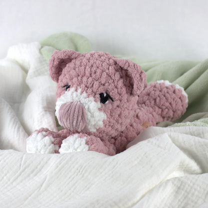 Tilly Teddy